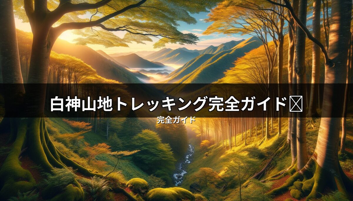 白神山地トレッキング完全ガイド|青池・十二湖日帰り