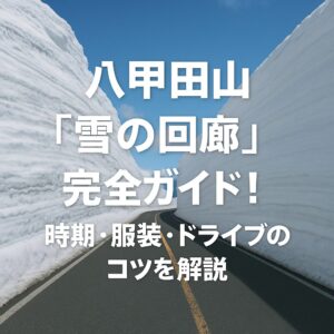 八甲田山「雪の回廊」完全ガイド！時期・服装・ドライブのコツを解説