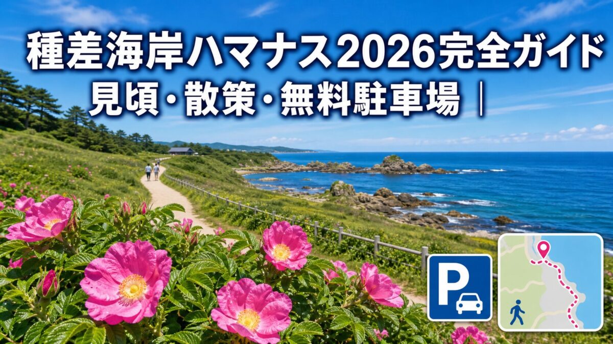 種差海岸ハマナス2026完全ガイド｜見頃・散策・無料駐車場
