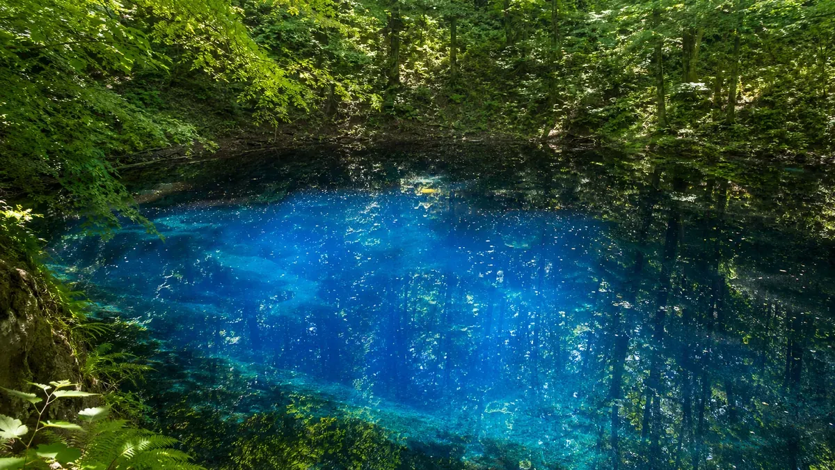 青森県の白神山地にある、コバルトブルーに輝く神秘的な十二湖の青池。