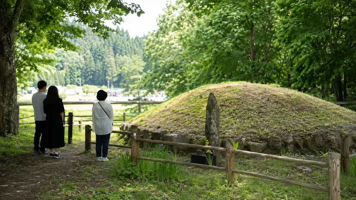 青森県新郷村へ向かう山間の国道、夏の杉林と冷たい空気