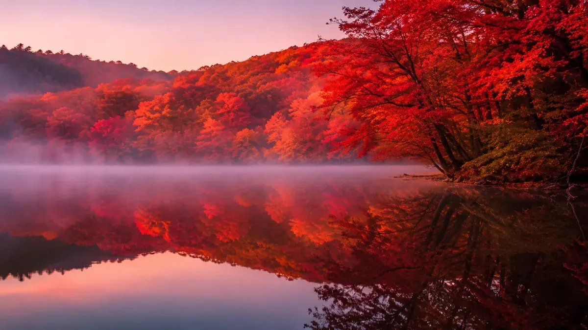 青森の蔦沼、朝焼けに染まる紅葉が湖面に映る幻想的な光景。