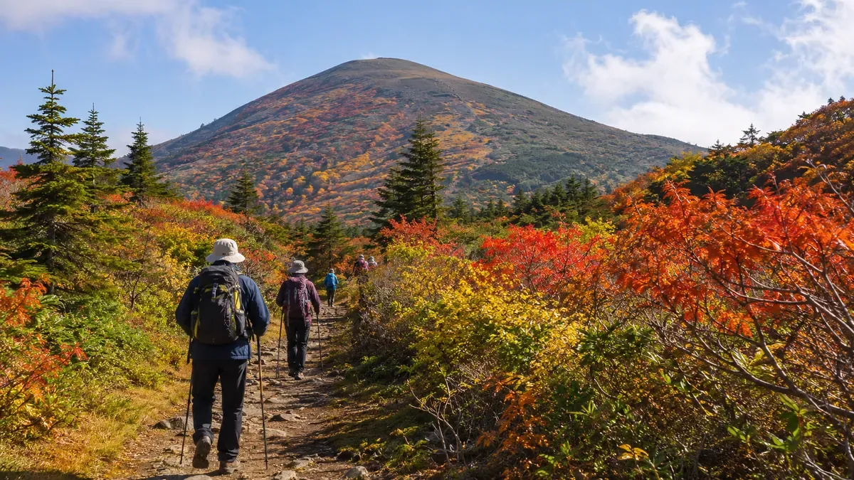 青森県八甲田大岳の登山道、紅葉の中を歩く登山者の後姿